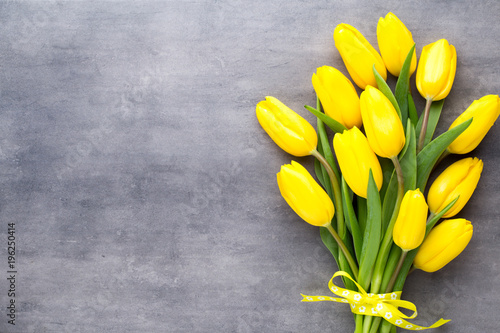 Yellow spring flowers, tulip on a gray background.