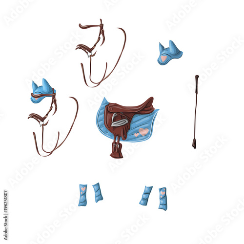 Ammunition of a horse for dressage, jumping - saddle, voltrap, whip, ears, bridle, bandages.