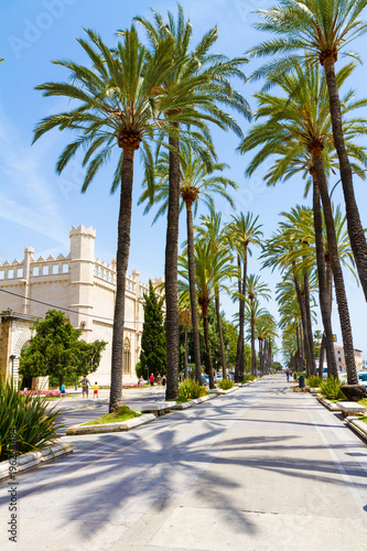 Palma de Mallorca seaside sightseeing palm trees walkway. Palma Mallorca famous marina promenade Passeig de Sagrera along luxury moored yachts and sailboats. Summer travel destination. photo