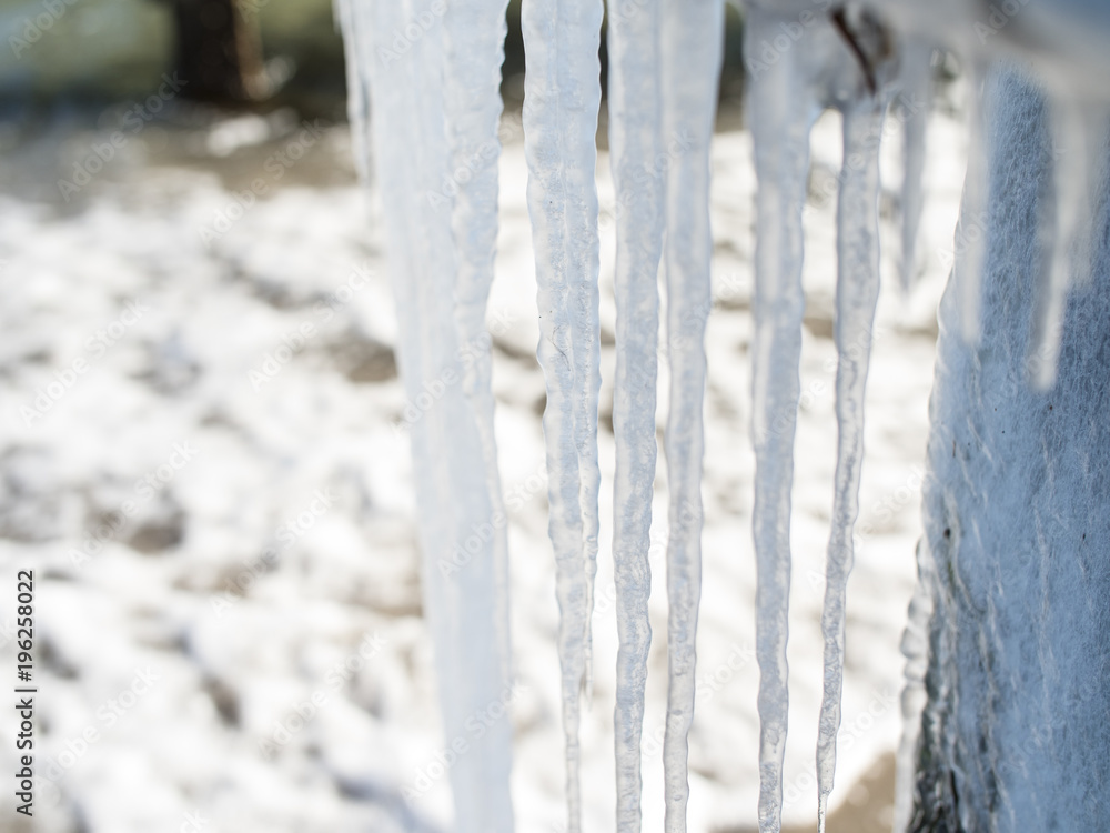 long Icicles lit by the sun, seen close up long Icicles lit by the sun, seen close up