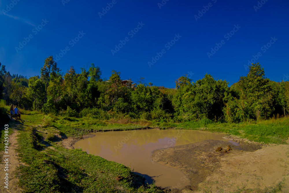 Outdoor view of a natural pond of mud where the elephants take a bath with some tourists in the nature, in Elephant jungle Sanctuary, in Chiang Thailand Outdoor view of a natural pond of mud where the elephants take a bath with some tourists in the nature, in Elephant jungle Sanctuary, in Chiang Thailand