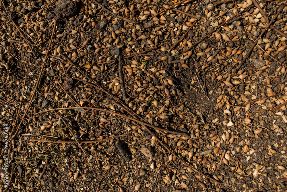 Texture solid reddish brown as a background Texture solid reddish brown as a background