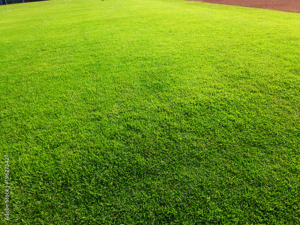 The lawn landscape of the football field