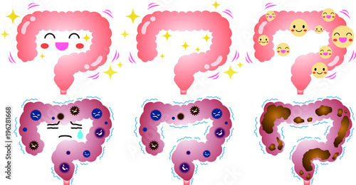 colon illustration set