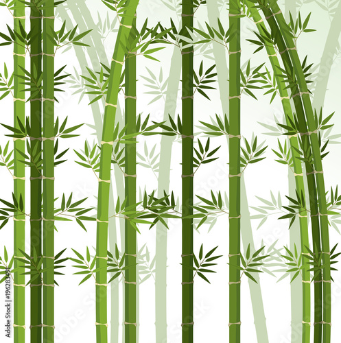 Fototapeta Naklejka Na Ścianę i Meble -  Background design with bamboo trees