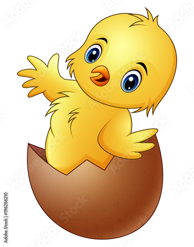 Cartoon little baby chicken in the broken egg shell