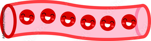 Healthy blood vessel face 1