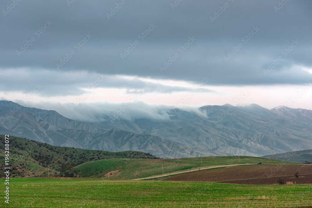 Obraz premium Rural road between green farmer fields