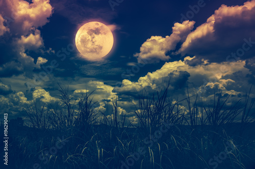 Bright full moon above wilderness area, serenity nature background.