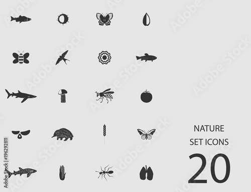 Nature set of flat icons. Vector illustration © kadevo