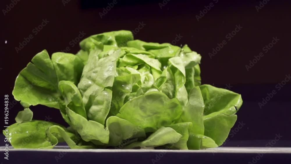 Slow motion Lettuce falling Slow motion Lettuce falling