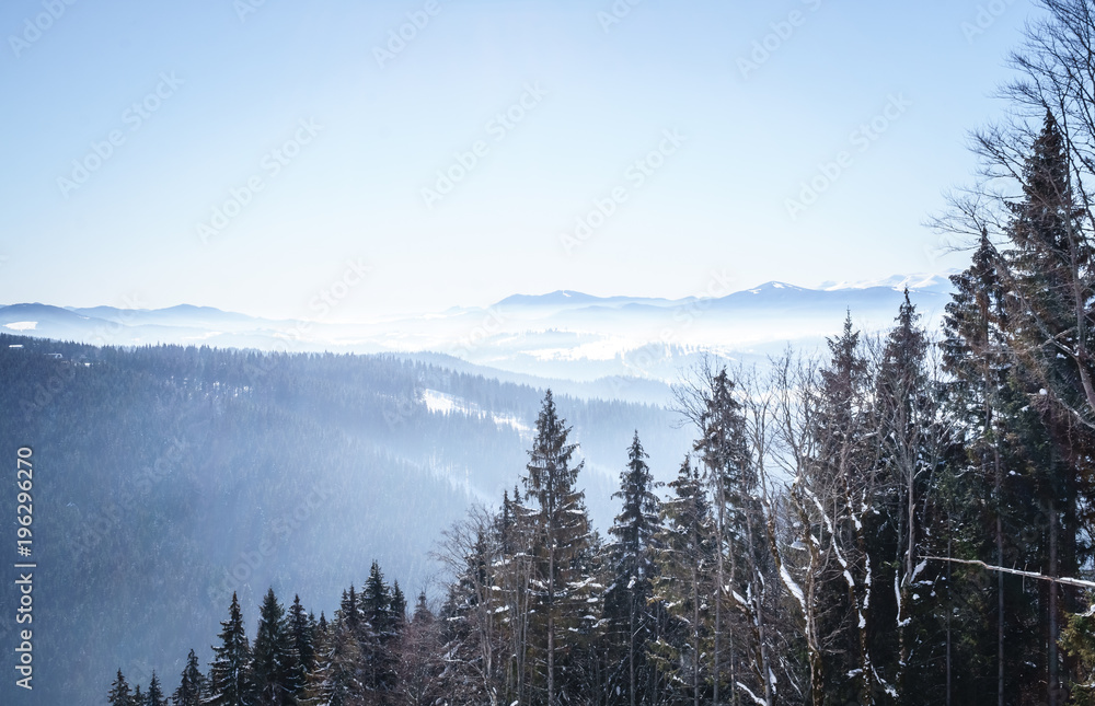 Morning fog. Winter snowy landscape in the Carpathian Mountains. Winter holidays in the mountains in Eastern Europe