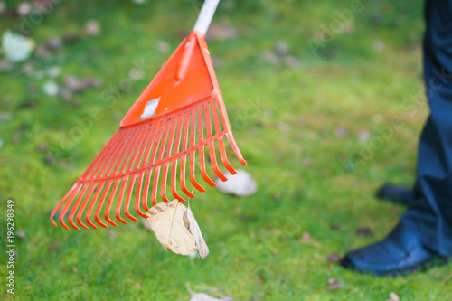 Worker work in garden with rake