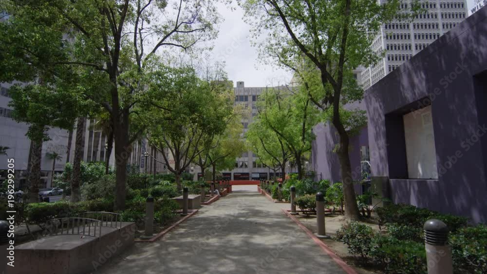 Park alley with trees Park alley with trees