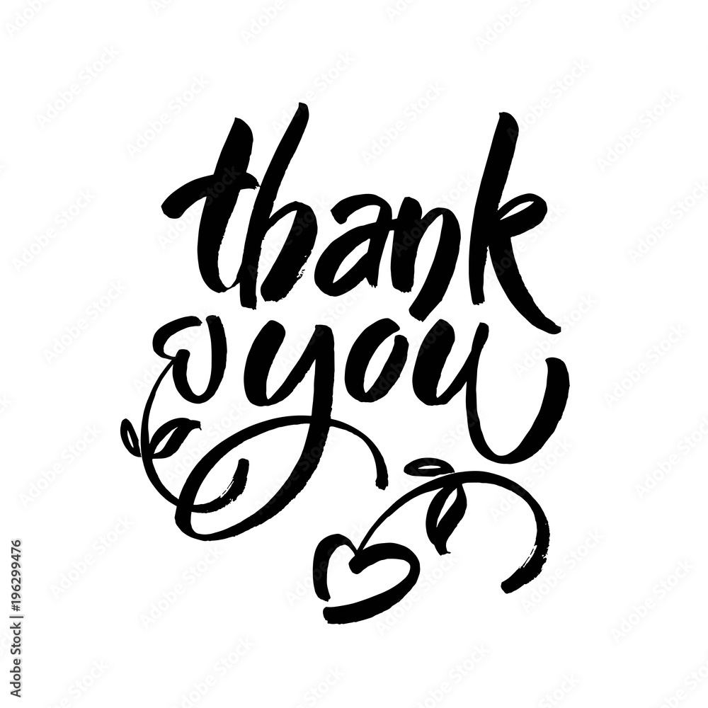 Thank you text on white background. Calligraphy lettering Modern brush calligraphy. Thank you text on white background. Calligraphy lettering Modern brush calligraphy.