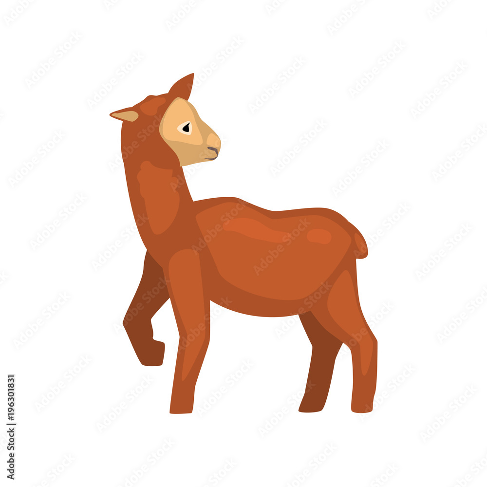 Fototapeta premium Cute brown lamb farm animal vector Illustration on a white background