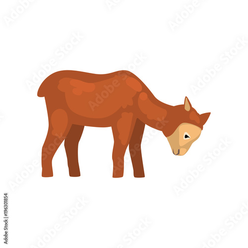 Cute brown lamb grazing vector Illustration on a white background