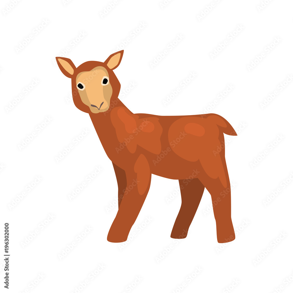 Brown lamb, cute farm animal vector Illustration on a white background