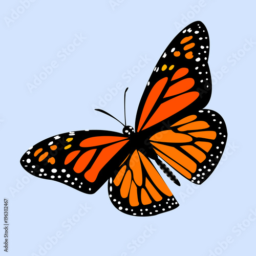 butterfly monarch on blue background with shadow, gradient, 3d