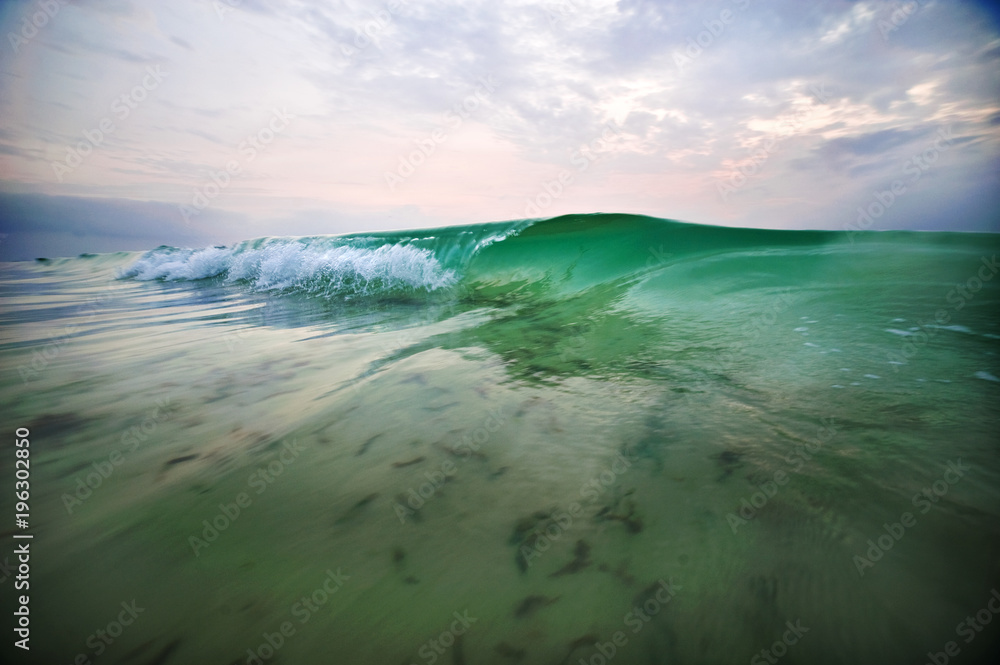 turquoise sea wave with seaweed turquoise sea wave with seaweed