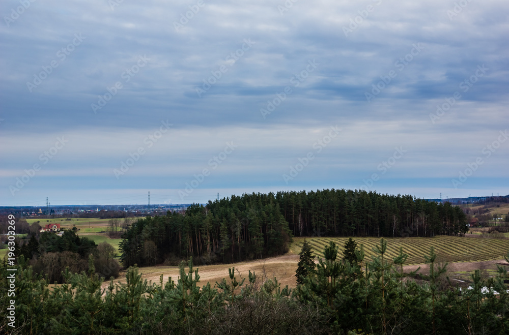 View from Bunelka mountain on the forest at cloudy day, Masuria, Poland