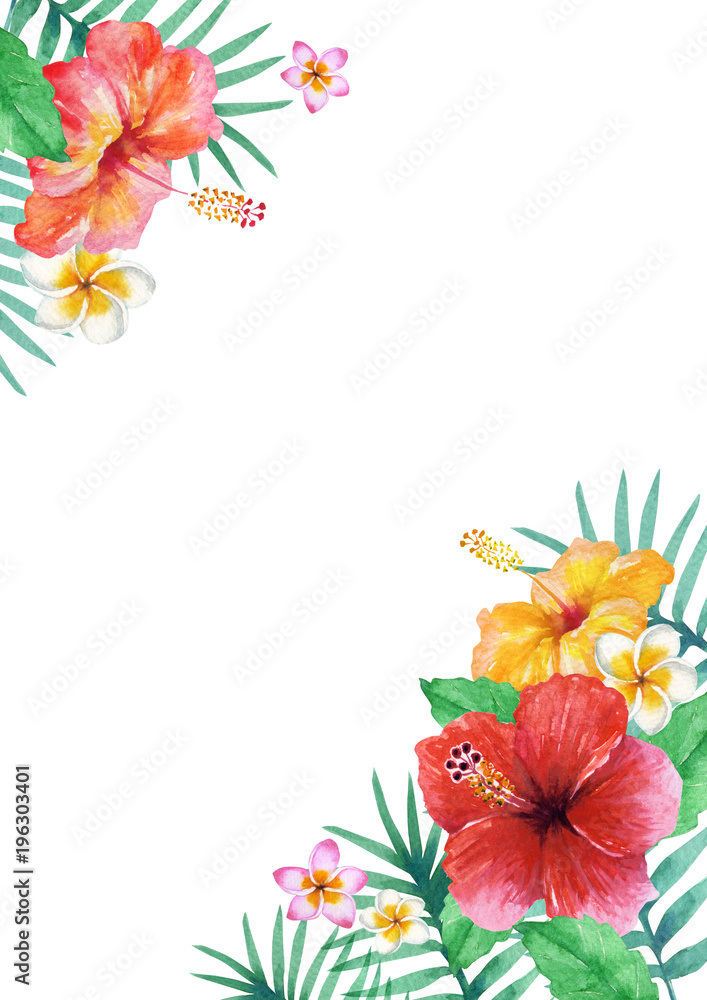 南国 ハワイ 植物フレーム 水彩 イラスト Stock Illustration Adobe Stock