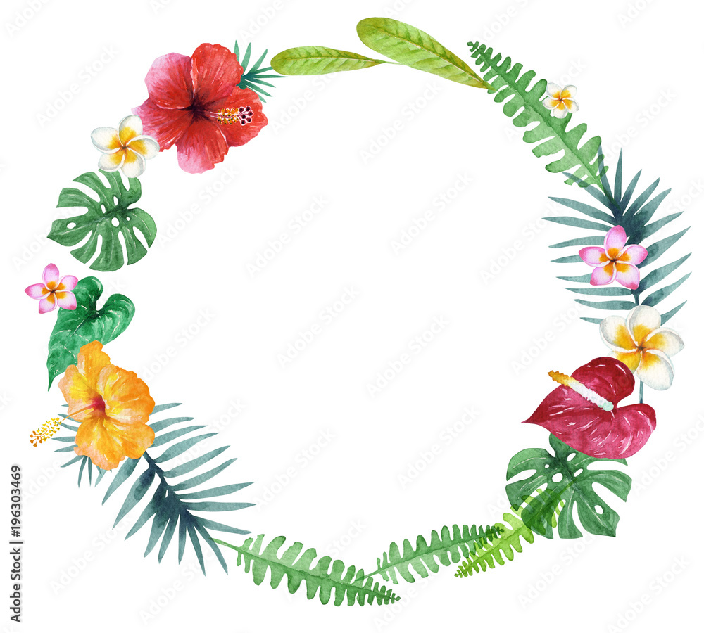 南国 ハワイ 植物フレーム 水彩 イラスト Stock Illustration Adobe Stock