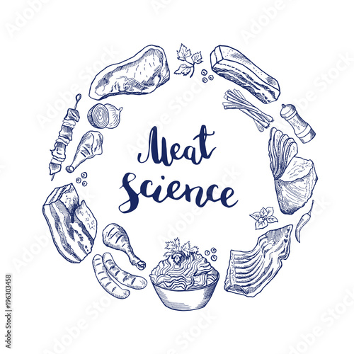 Vector hand drawn meat elements