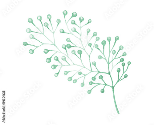 Watercolor drawn green plant deocration on white background
