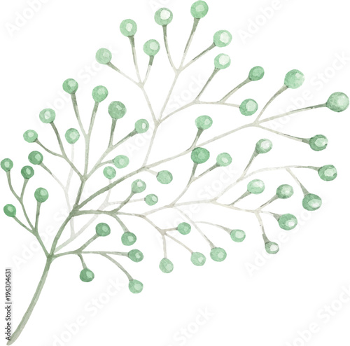 Watercolor drawn green plant deocration on white background