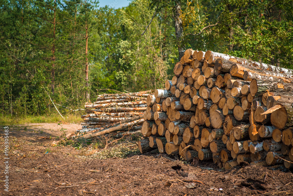 Stack of wood for timber