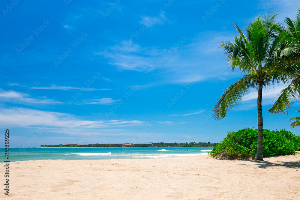 Fototapeta premium beach and tropical sea