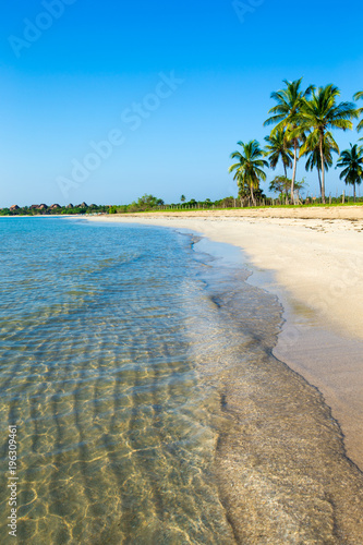 tropical beach in Sri Lanka . Summer holiday and vacation concept for tourism.