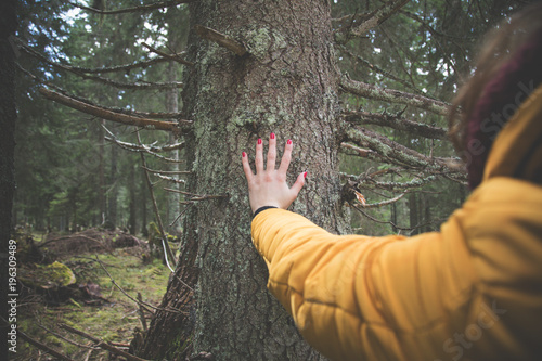Female hand touching the tree bark in nature.
