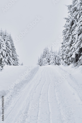Fresh snow road through the forest, Petrohan, Bulgaria. © Borislav