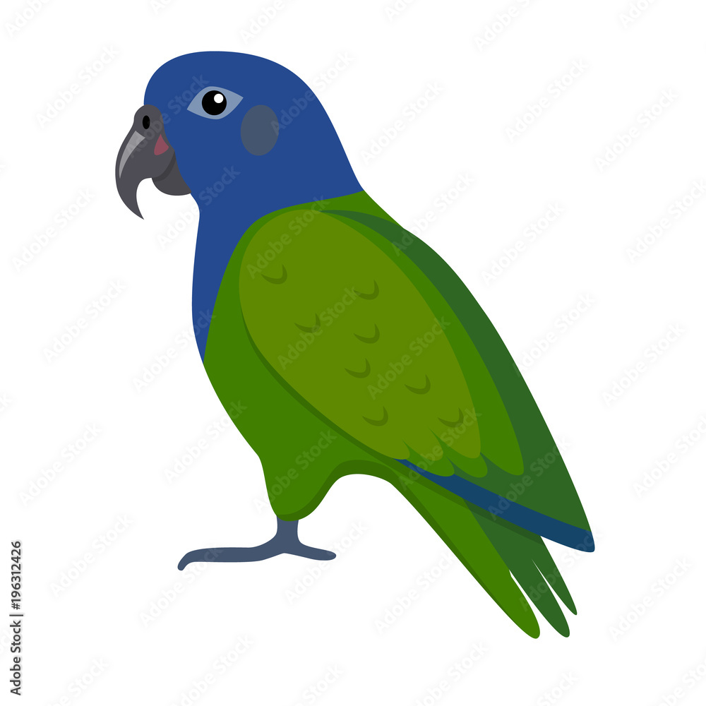 Pionus parrot icon in flat style