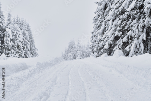 Fresh snow road through the forest, Petrohan, Bulgaria. © Borislav