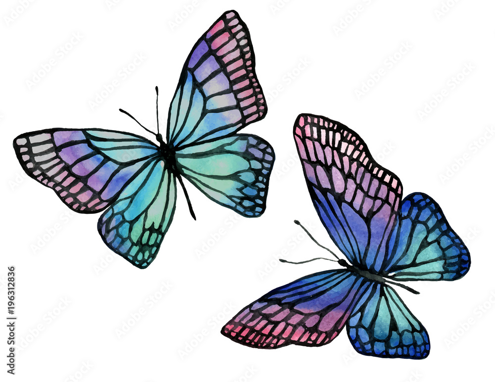 Obraz premium Illustration of watercolor butterflies with a black outline.