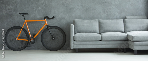 Grey sofa in living room interior
