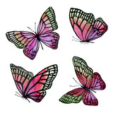 A collection of illustrations of watercolor butterflies with a b
