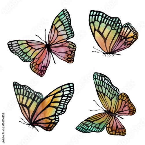A collection of illustrations of watercolor butterflies with a b
