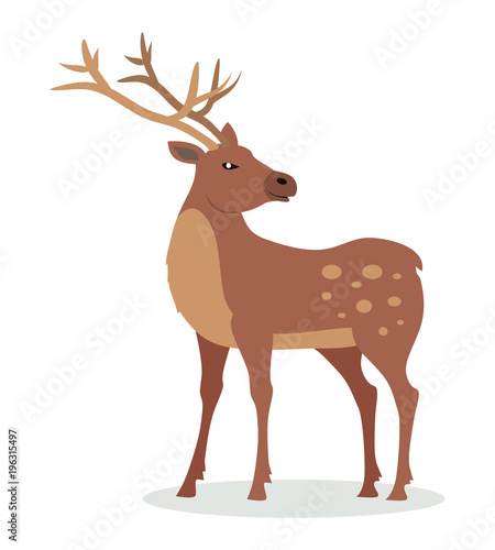 Deer with Horns Vector Illustration in Flat Design