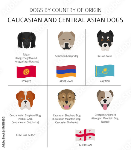 Dogs by country of origin. Caucasian and Central Asian dog breeds. Infographic template