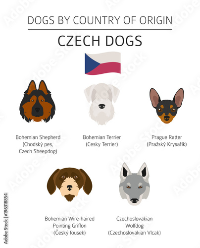 Dogs by country of origin. Czech dog breeds. Infographic template