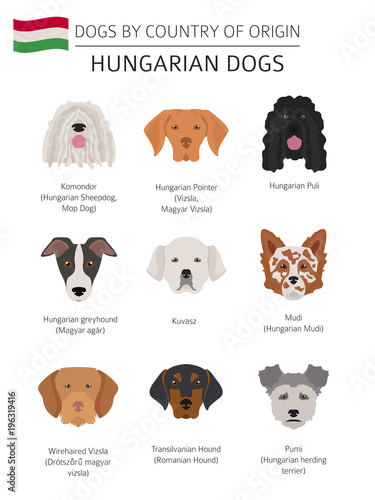 Dogs by country of origin. Hungarian dog breeds. Infographic template