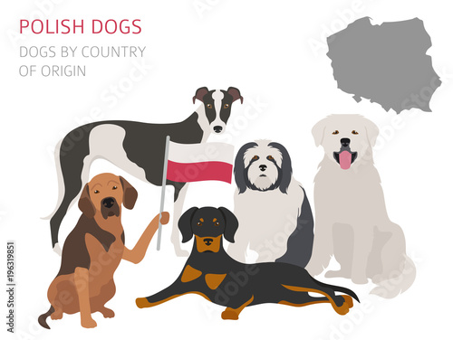 Dogs by country of origin. Polish dog breeds. Infographic template