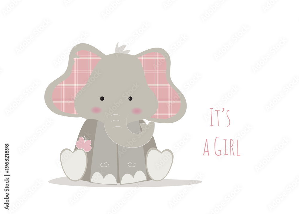 nascita bambina, baby elephant nascita bambina, baby elephant