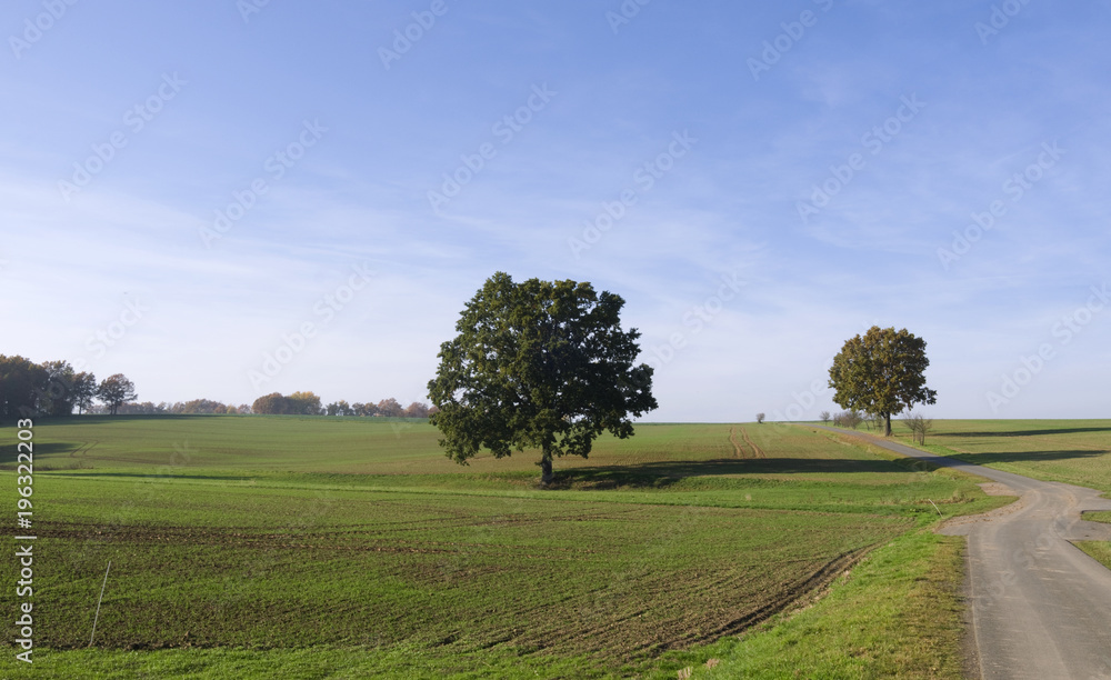 Loebichau / Germany: Gently rolling countryside in Eastern Thuringia on a sunny day at the end of October Loebichau / Germany: Gently rolling countryside in Eastern Thuringia on a sunny day at the end of October