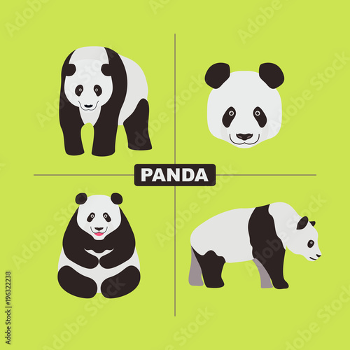 Panda Wildlife Chinese Animal Vector © ble2home