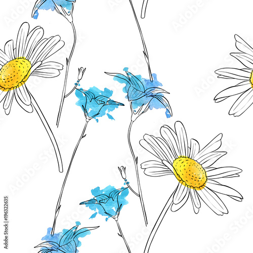 vector drawing flower of daisy